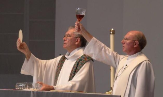 MORIRESTI PER LE TUE IDEE? Patetiche incongruenze del clero della neo-chiesa