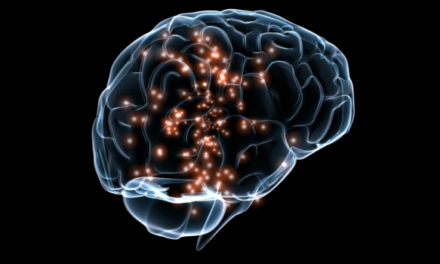La morte cerebrale: un concetto ormai superato