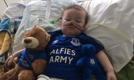 Le cinque lezioni di Alfie