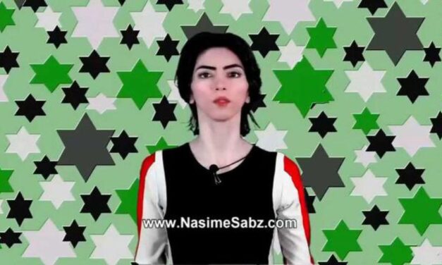 [CORTOCIRCUITO] Quando l’attentatore è donna, animalista, vegana, youtuber, di origine iraniana