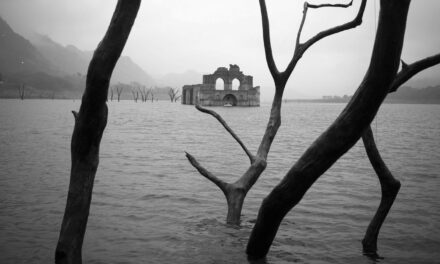 [CRONACHE DELL’ANTICRISTO] Finché non tornerà il Signore!