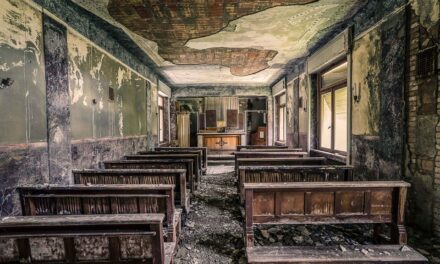 Seminario. Dove la vocazione muore