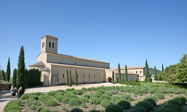 [VERSO IL CAPITOLO] Quel revisionismo su Mons. Lefebvre