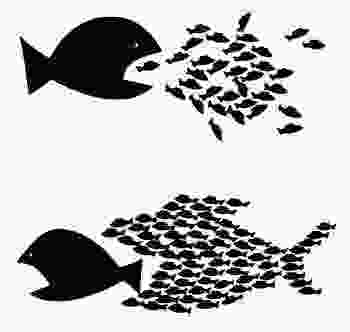 Capitalismo e idolatria del migrante
