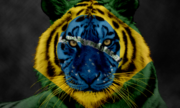 [DA ASCOLTARE] Dove va il Brasile? Riflessioni sul caso Bolsonaro