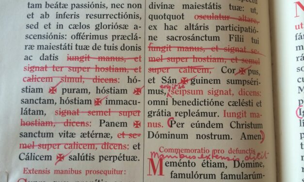 “Considerazioni sull’Ordo Missae di Paolo VI” (da Silveira). Capitolo Quarto (parr. 7-12)