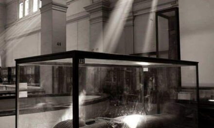 [POESIA] A una mummia del Museo Egizio di Torino