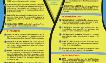 I 25 punti programmatici della ‘Carta Ufficiale dei Gilets Jaunes’
