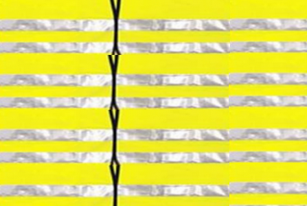 Perché diffido – parecchio – dei gilet gialli