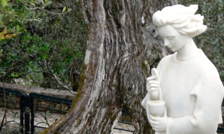 [DIFUNDE TU FE CATOLICA] EL ÁNGEL DE FÁTIMA, ante la impiedad del mundo pidió a los niños “reparad sus crímenes y consolad a vuestro Dios”