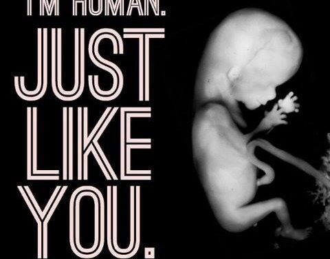 Aborto tardivo a New York, l’analisi di M. Micaletti