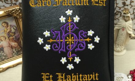 IL VERBO INCARNATO. Il discorso cristologico di J.H. Newman