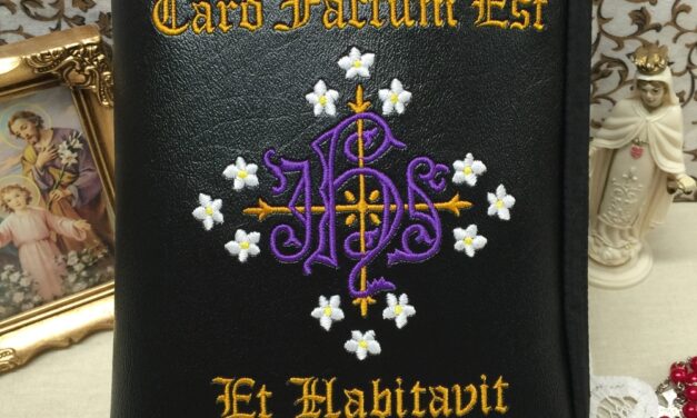 IL VERBO INCARNATO. Il discorso cristologico di J.H. Newman