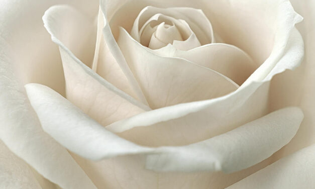 Educazione sessuale, sì o no?