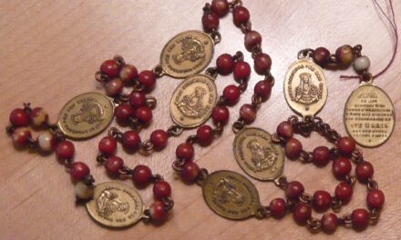 [DIFUNDE TU FE CATOLICA]  CONSOLAR A NUESTRA SEÑORA EN SUS DOLORES…