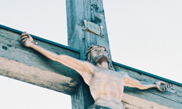 Lo scopo della Chiesa è salvare l’uomo, non sedarlo