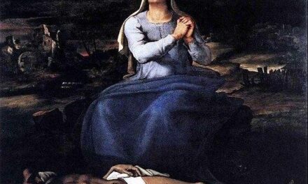 [DIFUNDE TU FE CATOLICA] LOS SIETE DOLORES DE MARÍA NUESTRA SEÑORA: las Lágrimas que nos alcanzaron la salvación