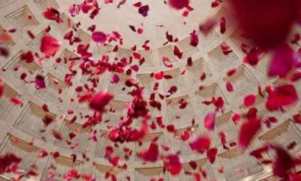 La Domenica delle Rose