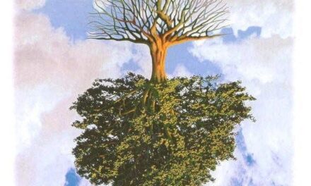 Europee. Da tradizionalista vi dico: non mi interessa semplicemente un’Europa “dalle radici cristiane”