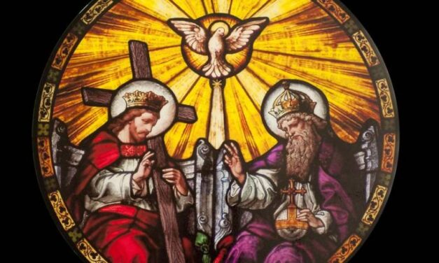 [DIFUNDE TU FE CATOLICA] DOMINICA DE PENTECOSTÉS. Orígen y Doctrina