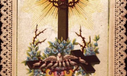 [DIFUNDE TU FE CATOLICA] MES DEL SAGRADO CORAZÓN DE JESÚS. DÍA 21: Día de Cumplimiento de la Voluntad de Dios