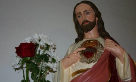 [DIFUNDE TU FE CATOLICA] MES DEL SAGRADO CORAZÓN DE JESÚS. DÍA 20: Día de Unión con el Corazón de Jesús