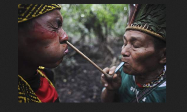 [Sin. Amazzonia] Dio e “forze spirituali”, terra senza mali (e “Madre” che ha sangue): che odore di bruciato!