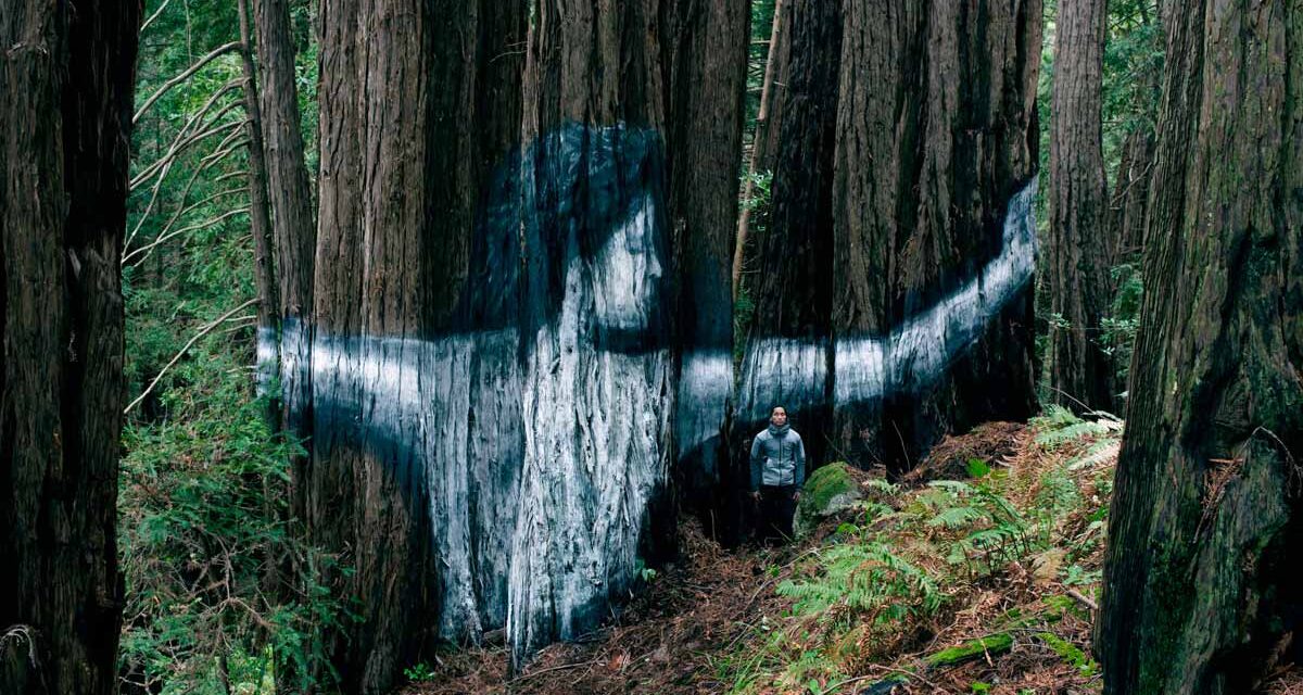 [Sin. Amazzonia] Il Sinodo al servizio dell’agenda neo-pagana