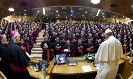 La Chiesa e il voto europeo