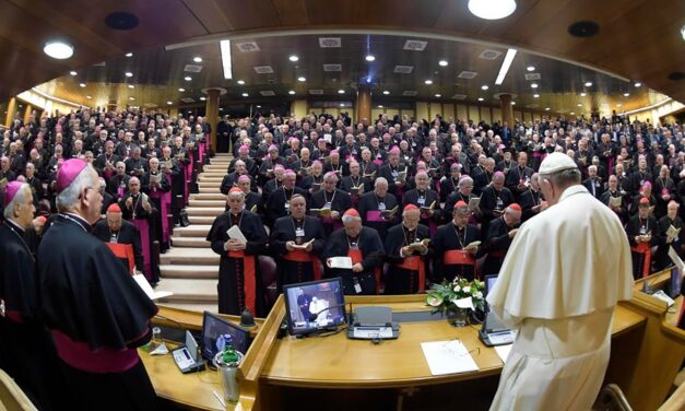 La Chiesa e il voto europeo