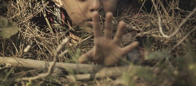 «Ciò che nessun giornale ha detto sul caso Bibbiano (e, già che ci siamo, sul Sinodo amazzonico)» [Guelfo Rosa]