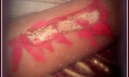 [DIFUNDE TU FE CATOLICA] SAN TEÓFILO, el Mártir abandonado por los Jesuitas