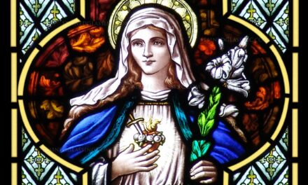 [DIFUNDE TU FE CATOLICA] MES DEL INMACULADO CORAZÓN DE MARÍA, DÍA 17