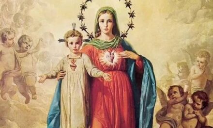 “Le meraviglie di un Cuore”. Una conferenza del padre Roschini