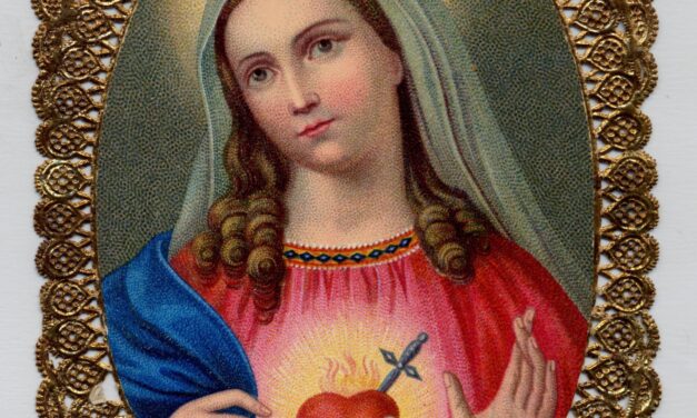[DIFUNDE TU FE CATOLICA]  MES DEL INMACULADO CORAZÓN DE MARÍA, DÍA 15