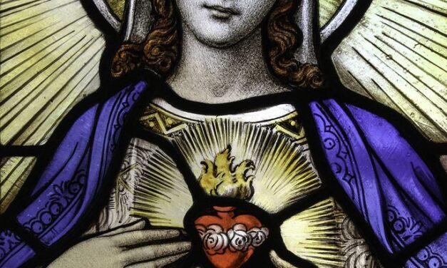 [DIFUNDE TU FE CATOLICA] MES DEL INMACULADO CORAZÓN DE MARÍA, DÍA 20