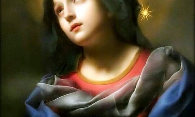 [DIFUNDE TU FE CATOLICA] MES DEL INMACULADO CORAZÓN DE MARÍA, DÍA 24