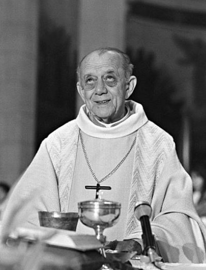 Helder Camara. Se questo è un testimone luminoso.