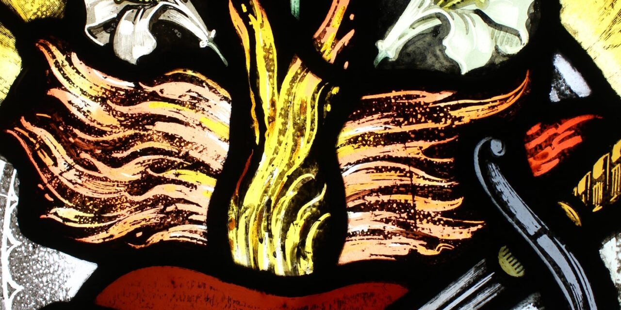 [DIFUNDE TU FE CATOLICA] MES DEL INMACULADO CORAZÓN DE MARÍA, DÍA 5