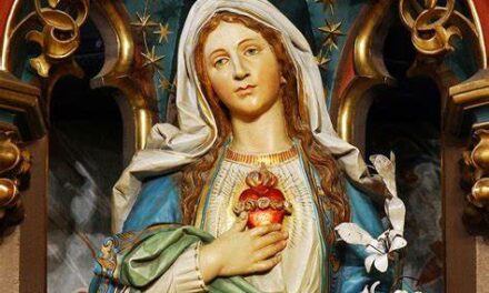 [DIFUNDE TU FE CATOLICA] MES DEL INMACULADO CORAZÓN DE MARÍA, DÍA 11