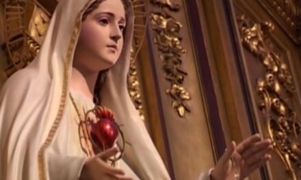 [DIFUNDE TU FE CATOLICA] MES DEL INMACULADO CORAZÓN DE MARÍA, DÍA 8