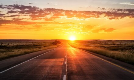 Storia di un ritorno a casa. Parte seconda (2)