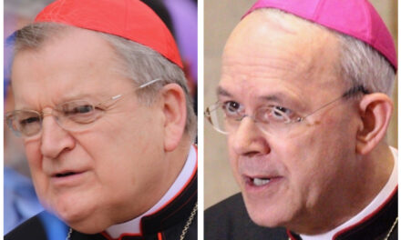 Burke e Schneider accusano 6 “gravi errori, eresie” nell’Ins. Lab. amazzonico e chiedono digiuno e preghiera