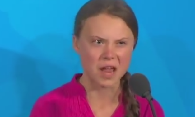 Il  fanatismo ambientalista sale in cattedra