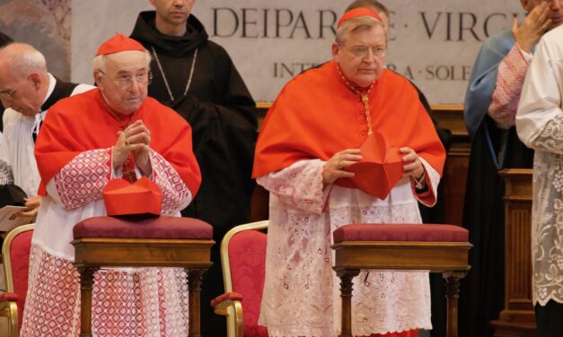 Burke e Brandmüller: Sinodo amazzonico minaccia Depositum Fidei