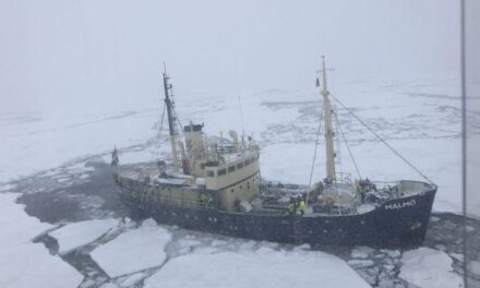 Herald Sun: per la sesta volta una nave di ecologisti (climate change) resta bloccata nel ghiaccio, salvati in elicottero