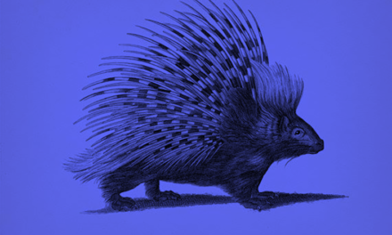 [IL PORCOSPINO] Firmato Bibbiano