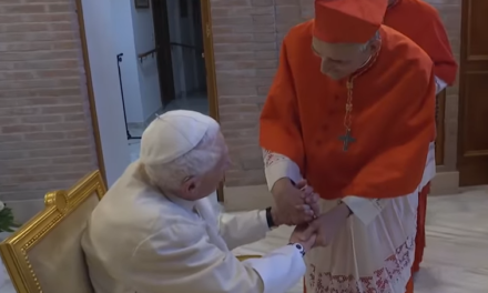 [Video] Ratzinger, alla vigilia del Sinodo, omaggia Francesco e i neocardinali ultraprogressisti