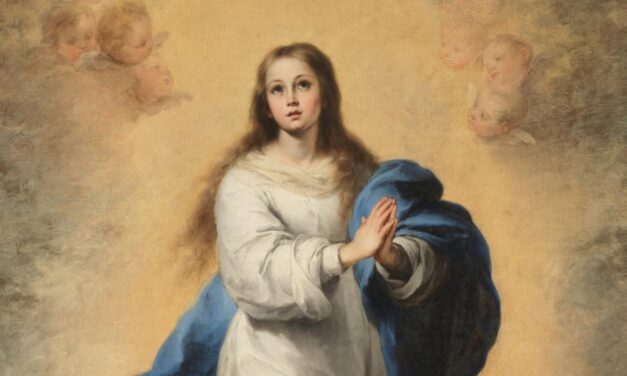 [MEDITAZIONI ALFONSIANE] Della castità di Maria