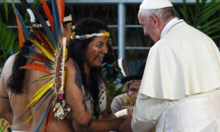 Il prof. M. D’Amico commenta l’Instrumentum Laboris del Sinodo Amazzonico (1)